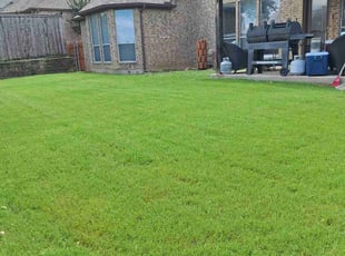 Branden H.'s Yard Cutting service result
