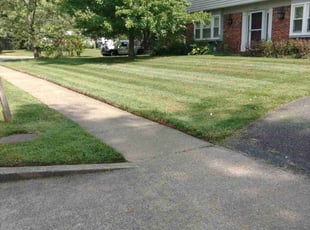 Noel Scott S.'s Lawn Maintenance service result