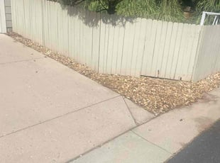 Cleanups by Aaron F for Alex C. in Broomfield, CO