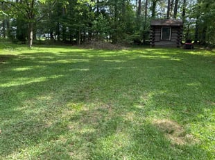 Cleanups by Amanda Carter for Kaitlyn T. in Apex, NC