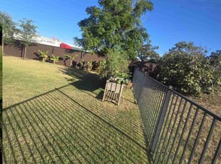 Tracy F.'s Lawn Care service result
