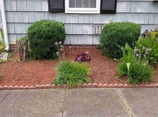 Bush Trimming by Sean Saulsby for Angelica H. in Norfolk, VA