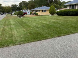 Jakarra H.'s Grass Cutting service result