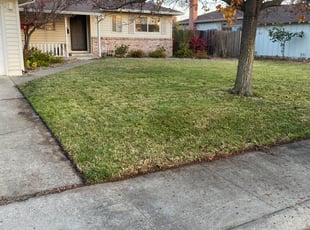 Leaf Removal by Michael Linley for Christin C. in Sacramento, CA