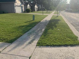 William H.'s Yard Cutting service result