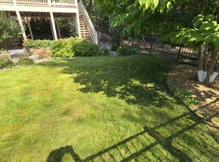 Candace W.'s Lawn Maintenance service result