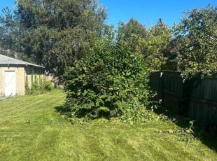 Bush Trimming by Chris Smith for Demetria M. in Indianapolis, IN