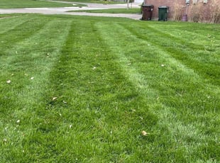 Makala Y.'s Lawn Service service result