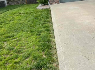 Nick I.'s Lawn Mowing Service service result