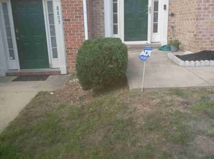 Bush Trimming by Greg Bush for Kecha L. in Clinton, MD