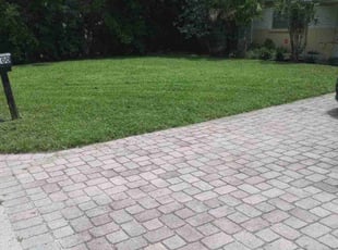 Alita C.'s Lawn Service service result