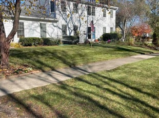 Lucy B.'s Lawn Service service result