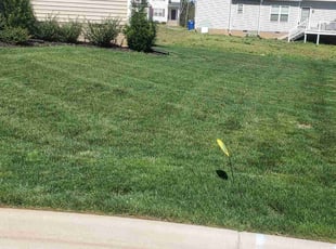 Millie C.'s Lawn Service service result