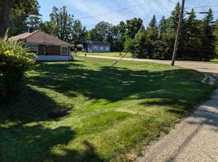 Dixon A.'s Lawn Mowing service result