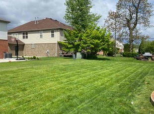 Michael C.'s Lawn Mowing service result