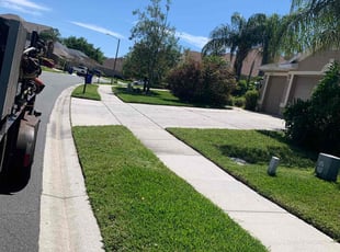 Kamille C.'s Lawn Care service result