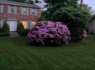 Julie B.'s Grass Cutting service result