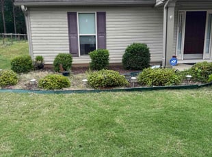 Jack P.'s Lawn Care service result