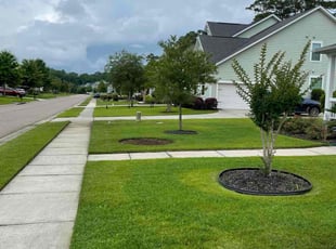 Dave G.'s Lawn Mowing service result