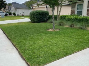 Kent T.'s Lawn Mowing service result