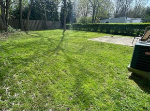 Nick S.'s Lawn Care service result