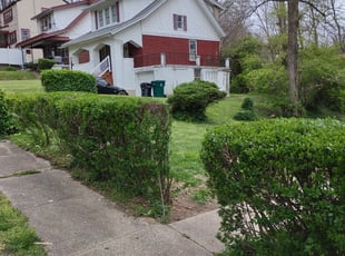 Bush Trimming by Macs Lawn Care Services for Annie M. in Cincinnati, OH
