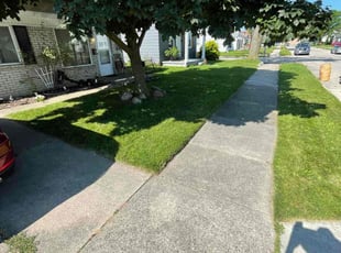 Christine K.'s Yard Cutting service result