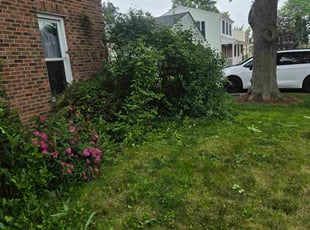 Bush Trimming by Hanna Rabakozi Jadaa for Rick M. in Carol Stream, IL