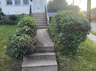 Bush Trimming by Norberto Soto for Kebeh f. in Lansdowne, PA