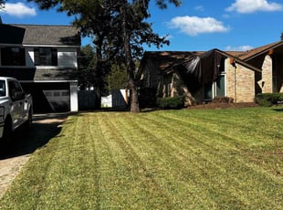 Daphney O.'s Yard Cutting service result