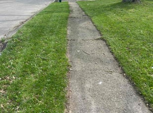 Jill J.'s Yard Cutting service result