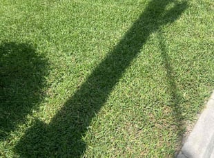 William W.'s Lawn Care service result