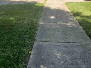 Shellise C.'s Yard Cutting service result