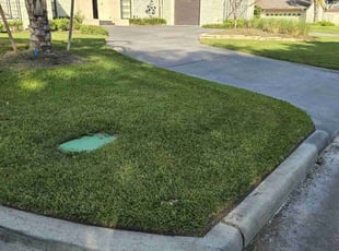 Jason H.'s Lawn Service service result