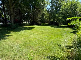 Shannon C.'s Lawn Mowing Service service result