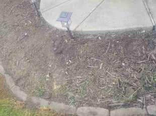 Weeding by Lyman Whitaker for Jazmine R. in Hampton, VA