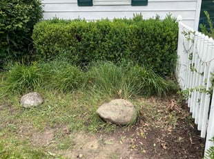 Cleanups by Allen Sharp for Melissa H. in Warren, OH