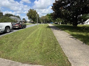 Debra G.'s Yard Cutting service result