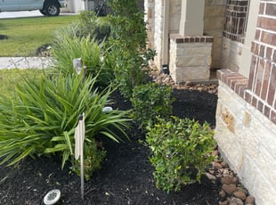 Bush Trimming by Ervin Jordan for Chris L. in Houston, TX