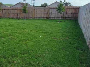 Kevin M.'s Lawn Maintenance service result