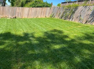 C. O.'s Lawn Care service result