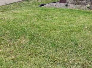 Reginald T.'s Lawn Service service result