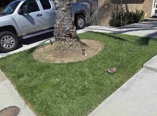 Josephine W.'s Lawn Care service result