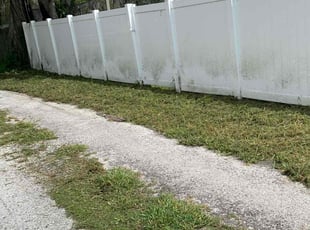 Leaf Removal by Leeandra Terry for Stanley J. in Tampa, FL
