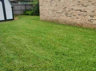 Drew C.'s Lawn Service service result