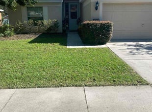 Deborah P.'s Lawn Mowing service result