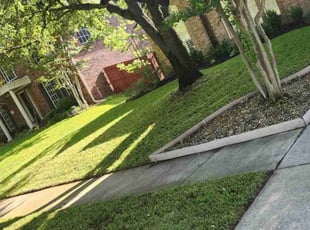 Marie A.'s Lawn Mowing service result