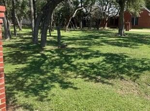 Jaye D.'s Lawn Maintenance service result