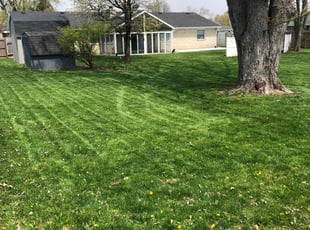 Brian W.'s Lawn Mowing Service service result