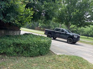 Bush Trimming by Victor/ Madeline Ramirez for Ron M. in Arlington, TX